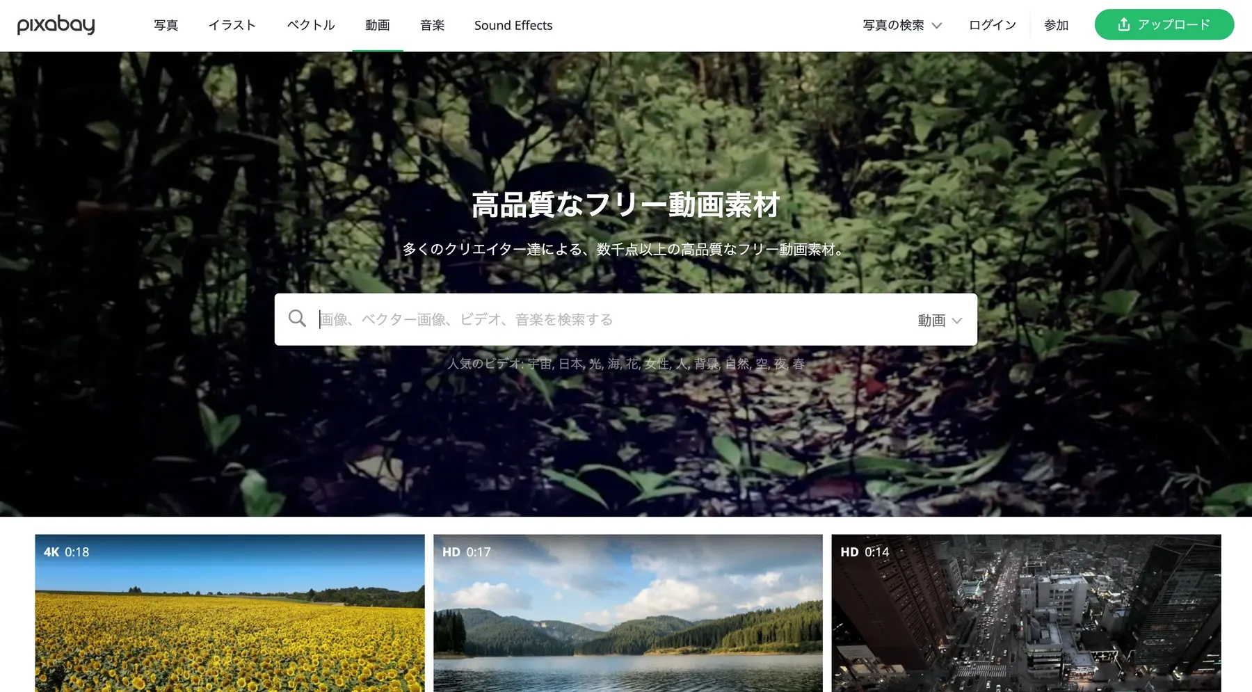 画像クレジット：pixabay