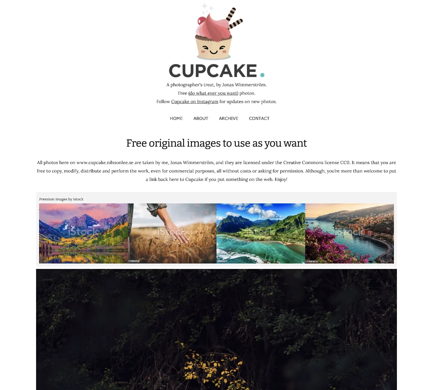 画像クレジット：CUPCAKE