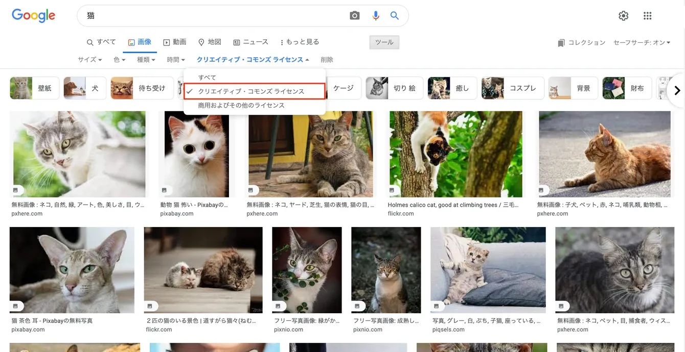 画像クレジット：Google Advanced Image Search