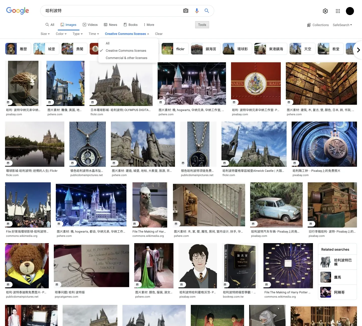 圖片來源：Google Advanced Image Search