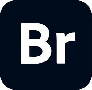 bridge logo