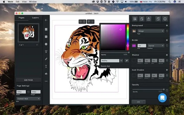 Image from Vectr