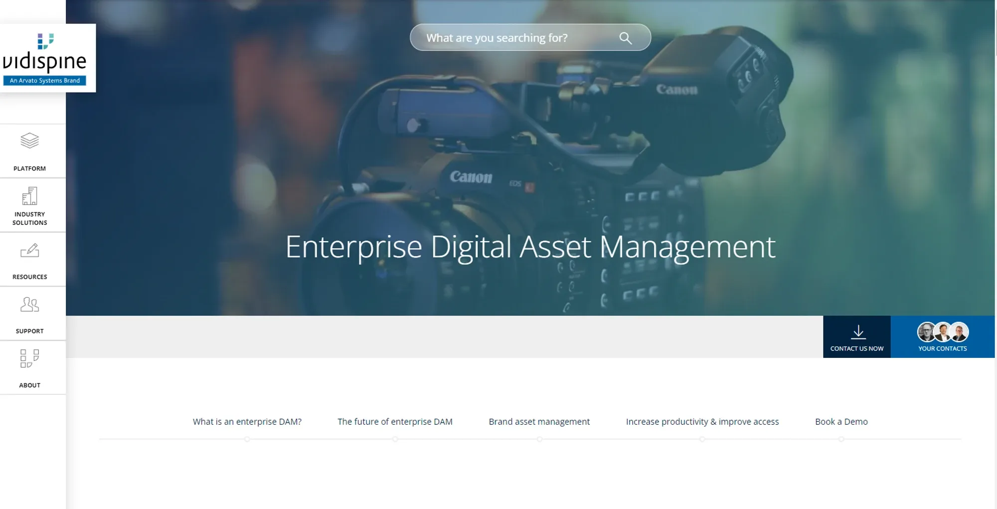 Image from Vidispines