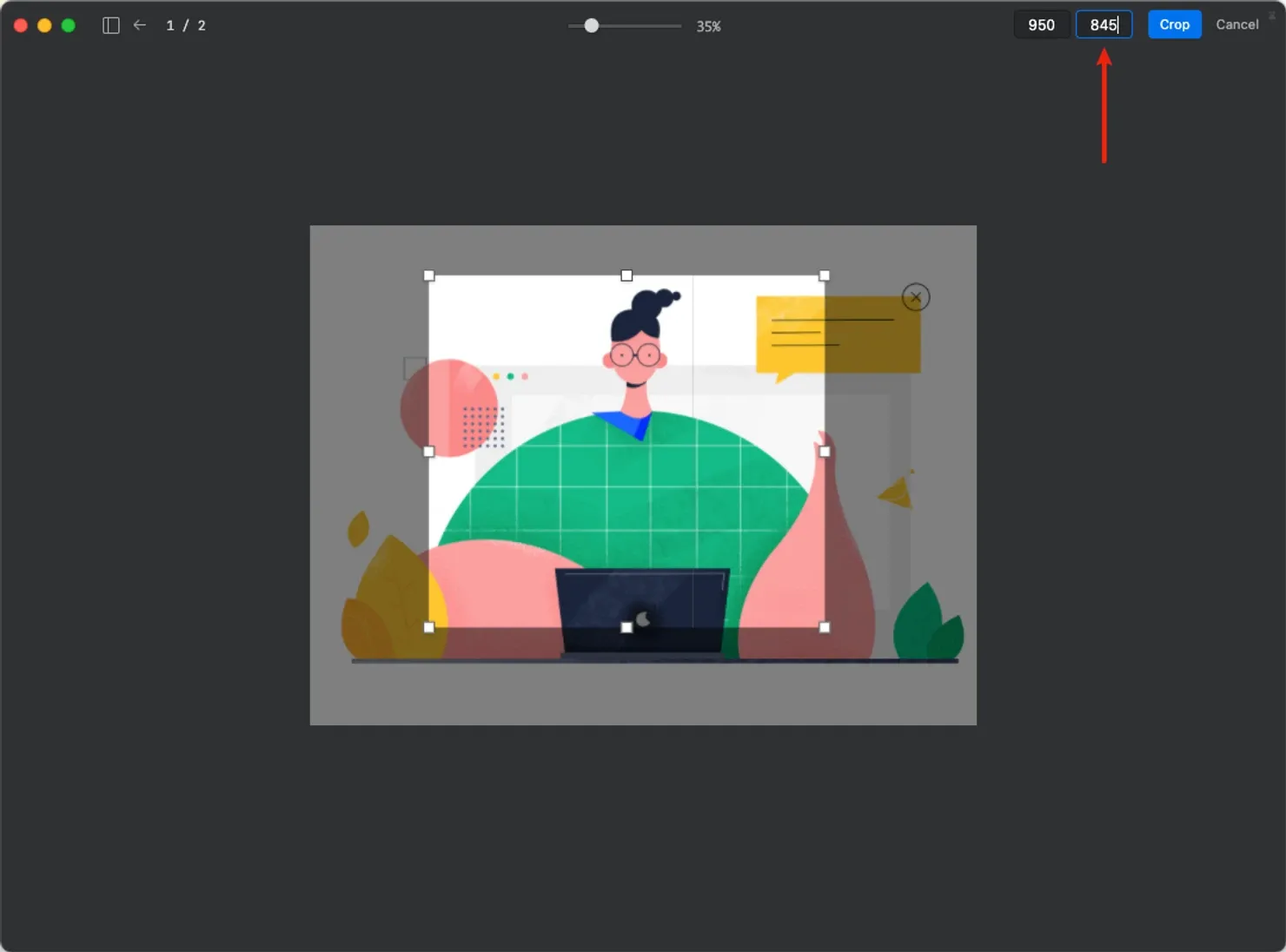 Image from crop image