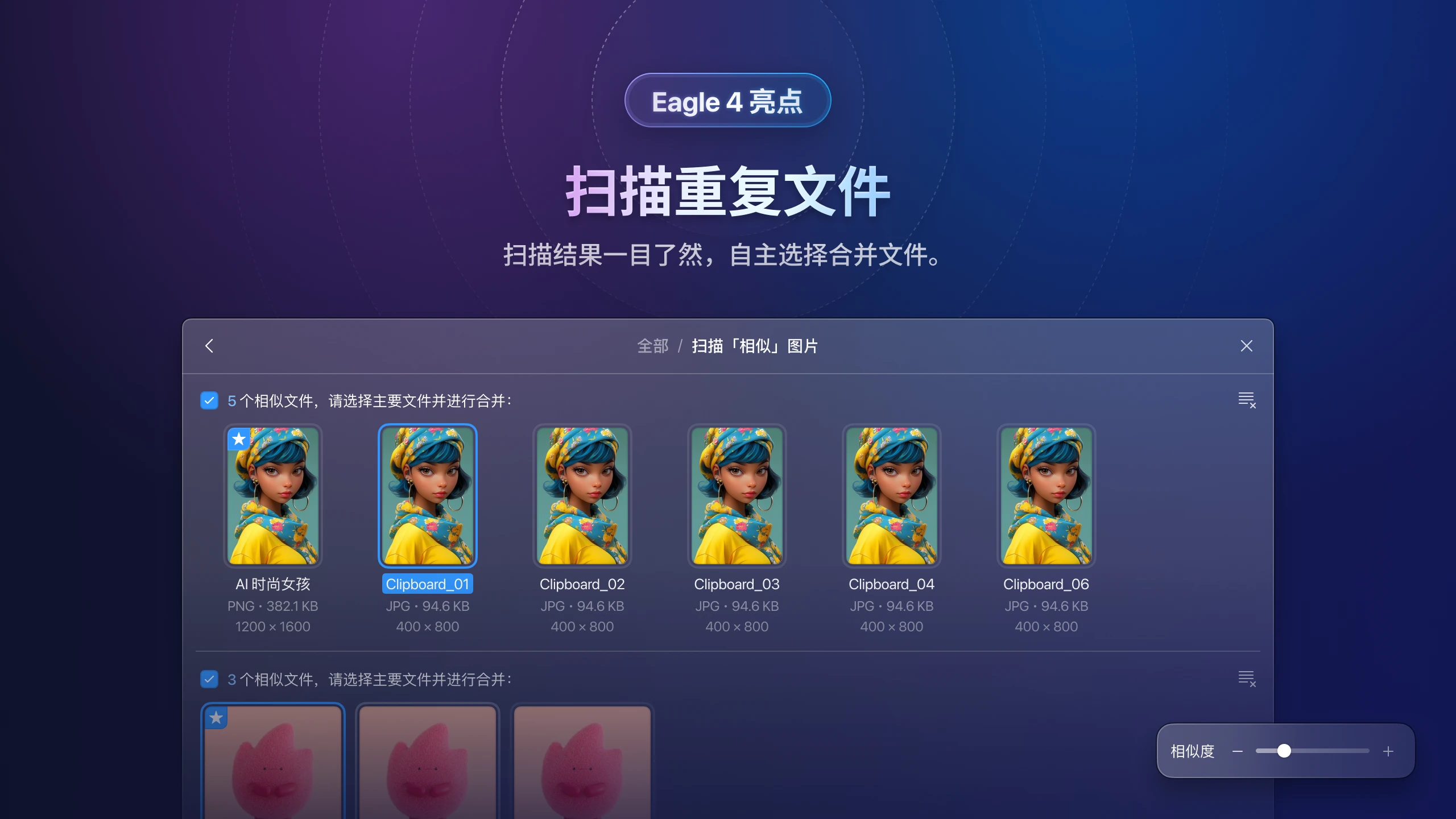 eagle-v4-find-duplicate-3