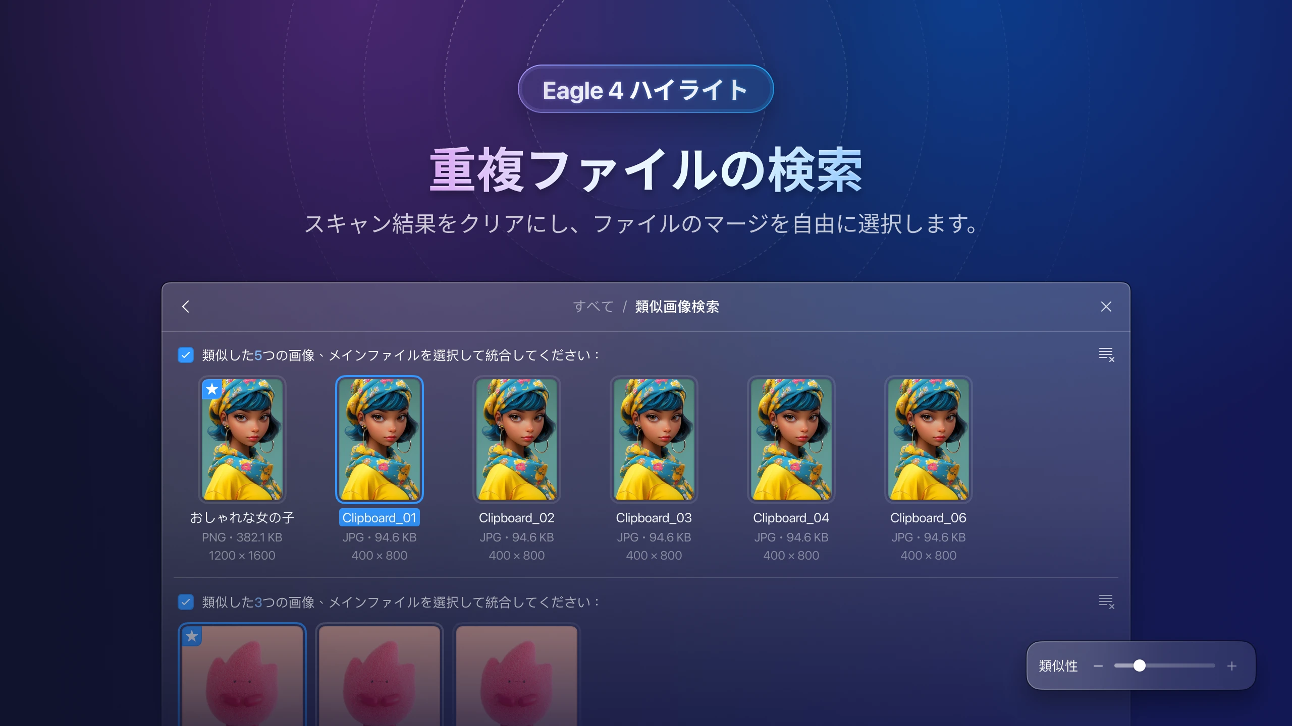 eagle-v4-find-duplicate-3