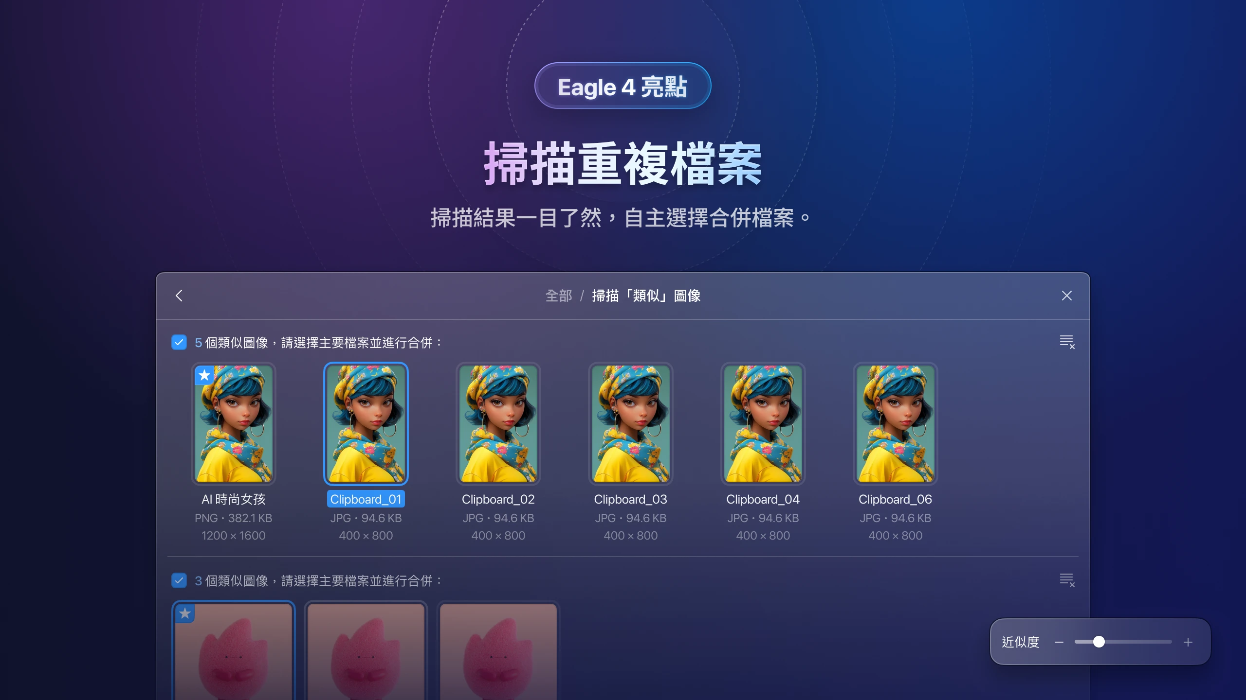 eagle-v4-find-duplicate-3