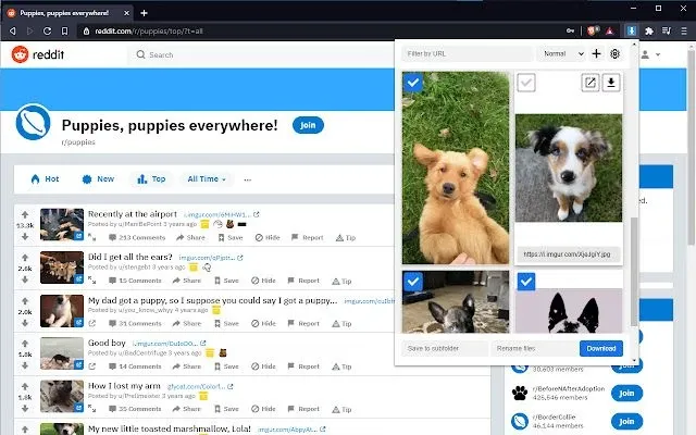 Image from Image Downloader