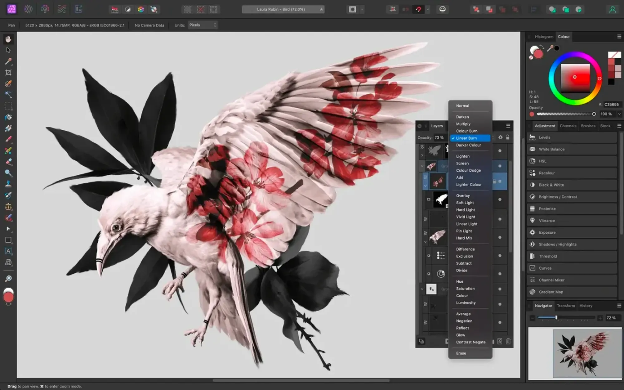 图像来源：Serif affinity photo