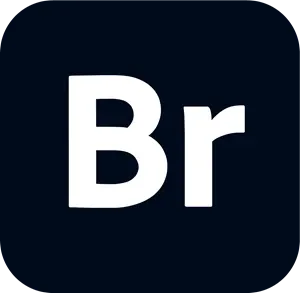 bridge logo