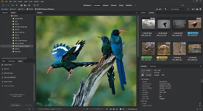 Adobe Bridge