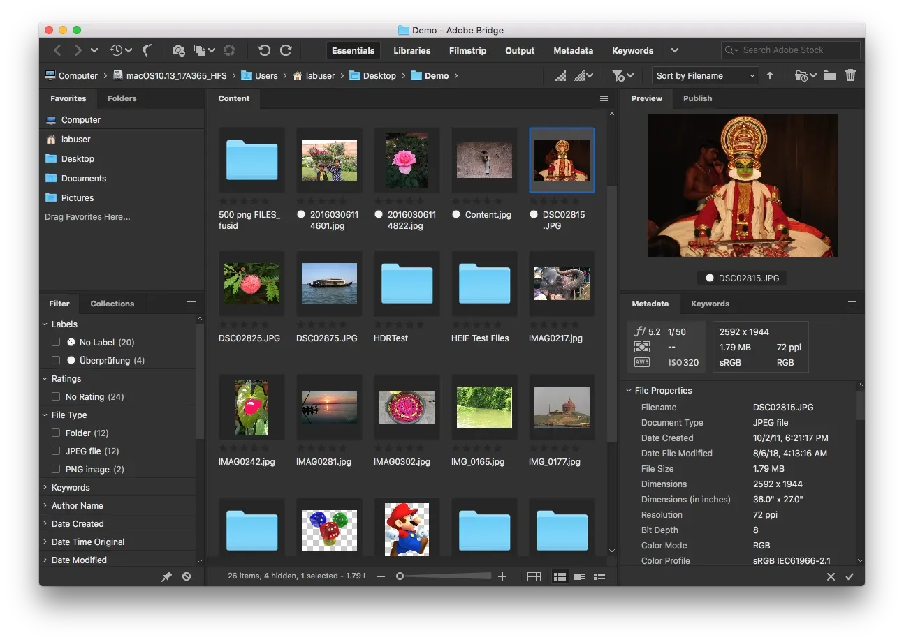 图像来源：Adobe Bridge