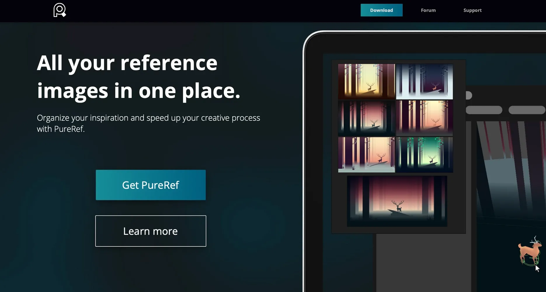 Image from PureRef